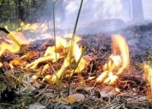 пожар опасность лес